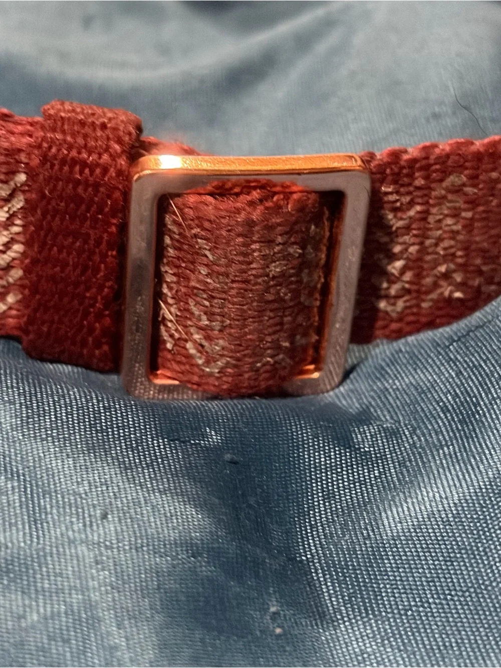 Rust Red Woven Fabric Dog collar with Gold-Tone Buckle